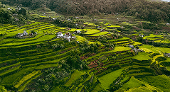 image of rice terraces in philippines